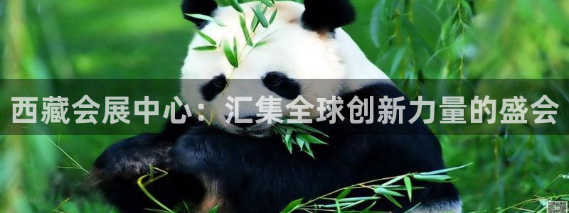 果博注册充值怎么充：西藏会展中心：汇集全球创新力量的盛会