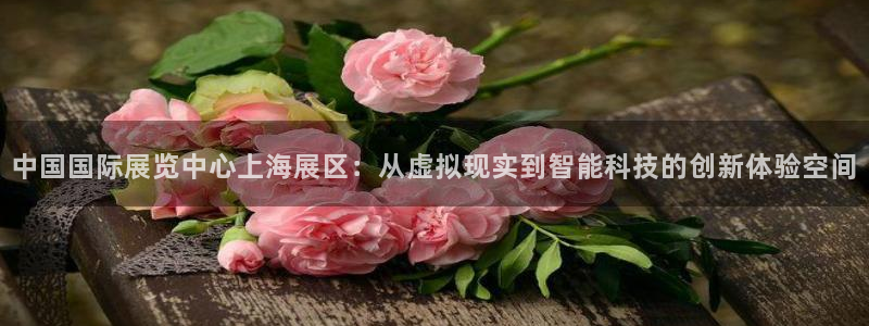 果博代理网：中国国际展览中心上海展区：从虚拟现实到智能科技的创新体验空间