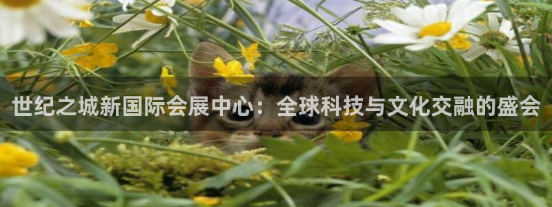 果博公司直属会员开户：世纪之城新国际会展中心：全球科技与文化交融的盛会