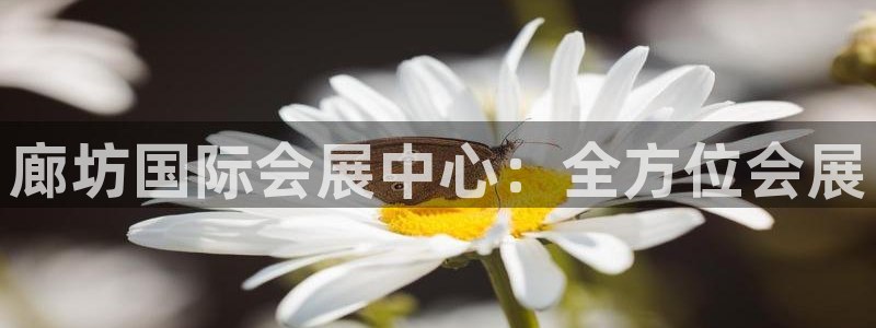 果博注册充值多少钱：廊坊国际会展中心：全方位会展