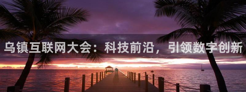 果博代理怎么注册：乌镇互联网大会：科技前