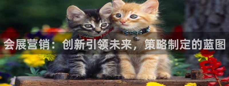 果博注册客服电话是多少号码：会展营销：创新引领未来，策略制定的蓝图