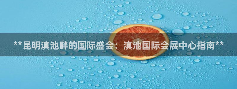苹果电脑怎么下载博弈大师等软件：**昆明滇池畔的国际盛会：滇池国际会展中心指南**