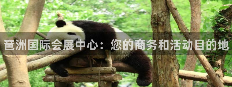 果博旗舰厅：琶洲国际会展中心：您的商务和活动目的地
