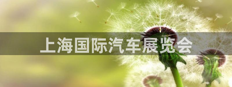 果博环保公司：上海国际汽车展览会