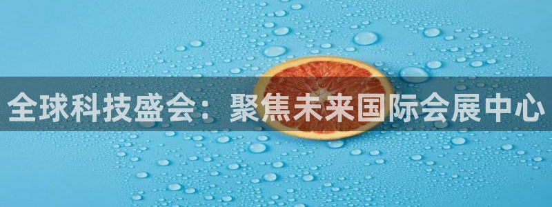 果博网站二维码：全球科技盛会：聚焦未来国际会展中心