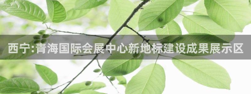 果博公司怎么开户：西宁:青海国际会展中心新地标建设
