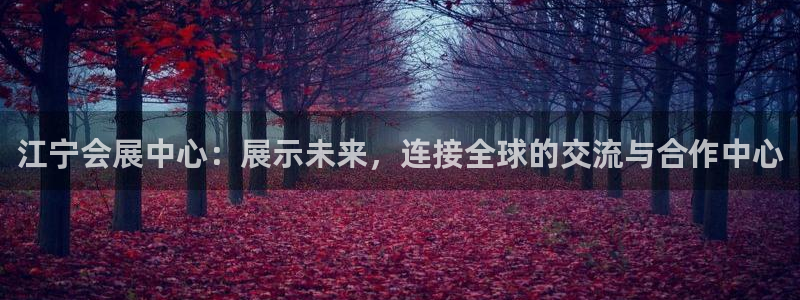 果博公司注册：江宁会展中心：展示未来，连