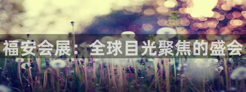 果博平台开户电话查询：福安会展：全球目光