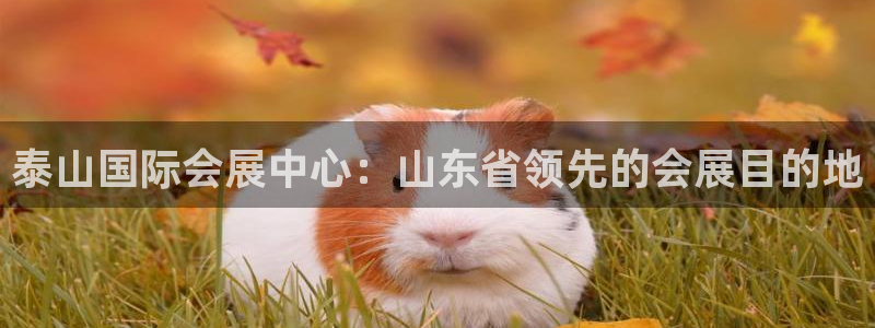 果博注册客服电话号码：泰山国际会展中心：山东省领先的会展目的地