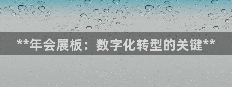 下载果博博东方：**年会展板：数字化转型的关键**