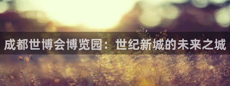 果博公司注册：成都世博会博览园：世纪新城