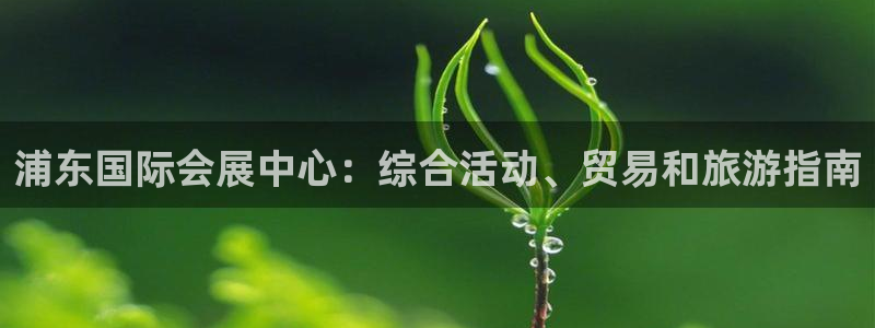 果博注册客服电话号码是多少：浦东国际会展中心：综合活动、贸易和旅游指南