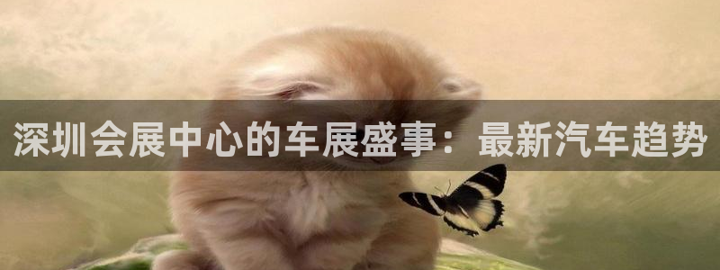 果博手机版官方下载