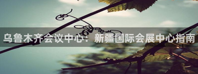 果博平台真实吗知乎：乌鲁木齐会议中心：新疆国际会展中心指南