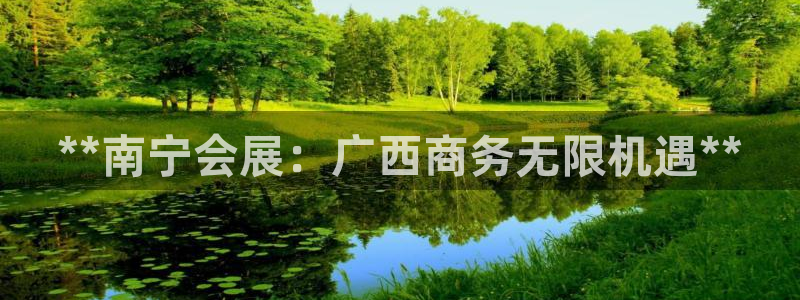果博官方网：**南宁会展：广西商务无限机遇**
