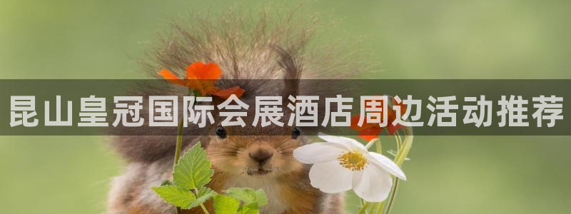 果博gbe168：昆山皇冠国际会展酒店周边活动推荐