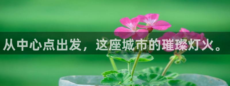 果博代理电话多少：从中心点出发，这座城市的璀璨灯火。