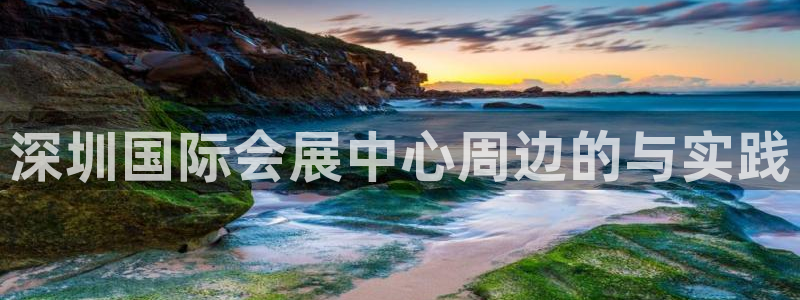 果博公司网站：深圳国际会展中心周边的与实践