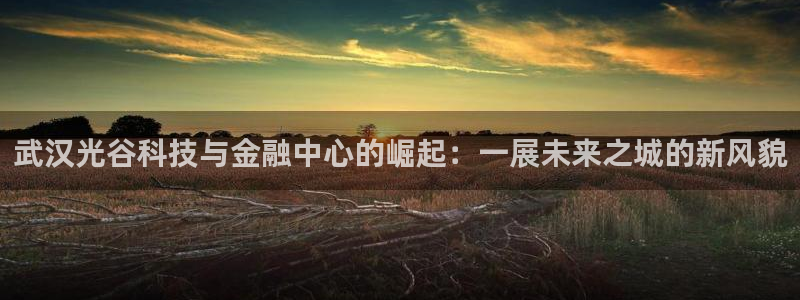 果博平台真实吗知乎推荐：武汉光谷科技与金融中心的崛起：一展未来之城的新风貌