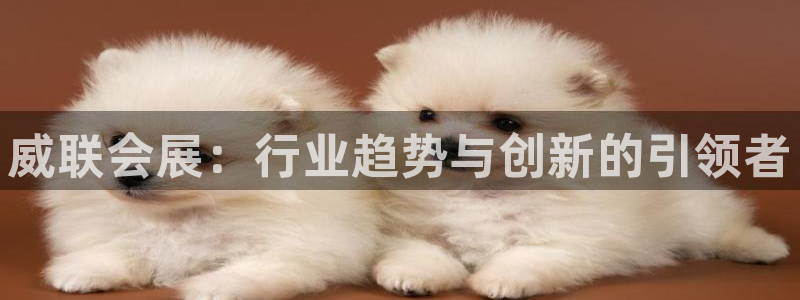 果博东官方网站怎么下载：威联会展：行业趋势与创新的引领者