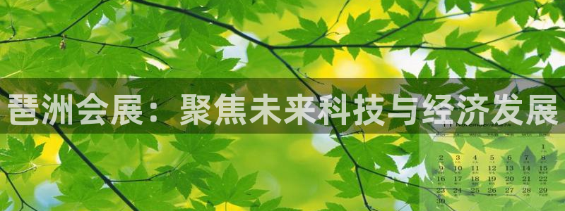 果博app官网下载：琶洲会展：聚焦未来科技与经济发展