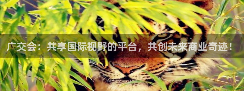 果博手机版官方下载：广交会：共享国际视野