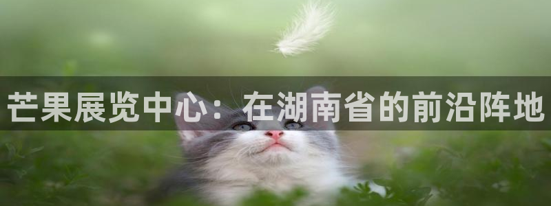 果博怎么注册账号：芒果展览中心：在湖南省的前沿阵地