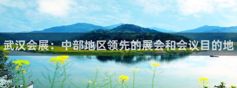 果博平台开户电话号码：武汉会展：中部地区