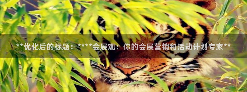 果博管理网：**优化后的标题：****会展观：你的会展营销和活动计划专家**