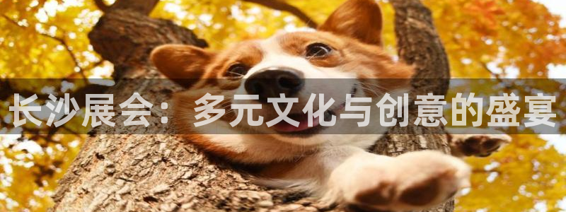 果博平台开户电话：长沙展会：多元文化与创意的盛宴