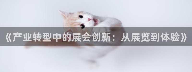 下载果博app：《产业转型中的展会创新：