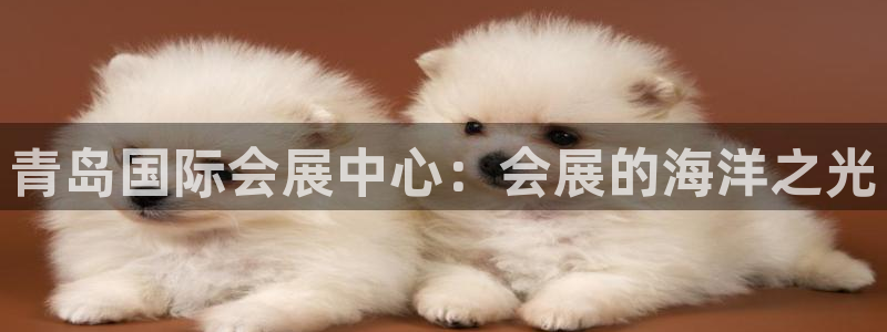 果博注册充值：青岛国际会展中心：会展的海洋之光