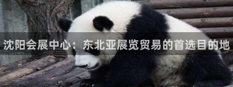 果博公司会员注册账号：沈阳会展中心：东北