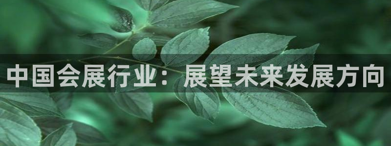 果博公司直属会员开户：中国会展行业：展望未来发展方向