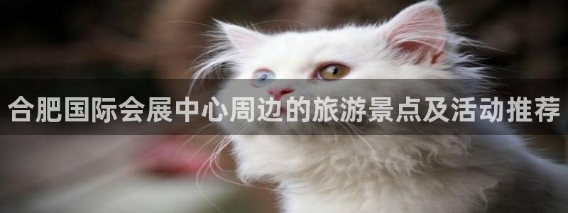 果博公司客服联系方式：合肥国际会展中心周边的旅游景点及活动推荐