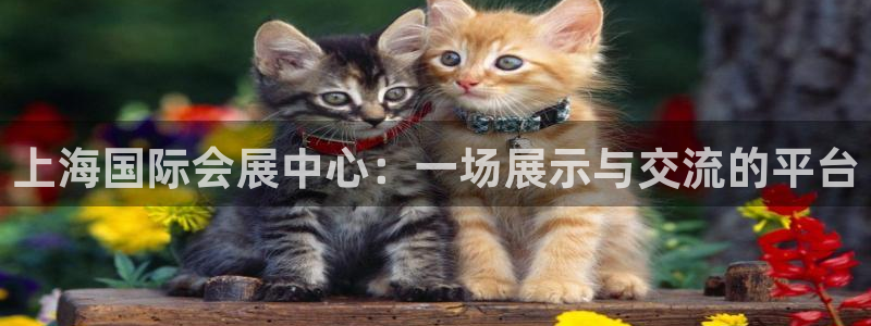 下载果博：上海国际会展中心：一场展示与交
