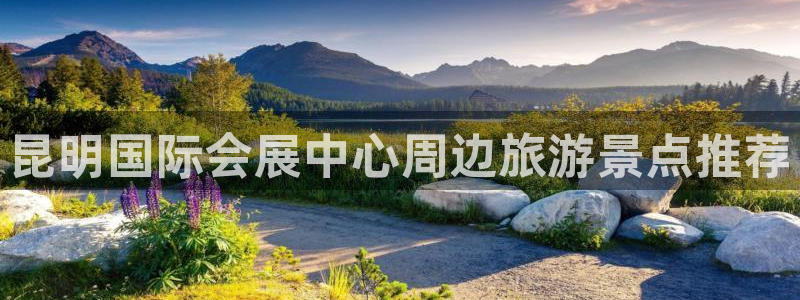 果博东手机版下载开户：昆明国际会展中心周