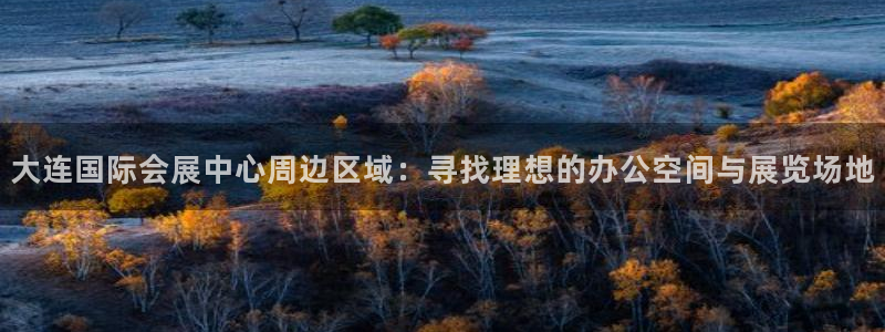 果博公司开户：大连国际会展中心周边区域：