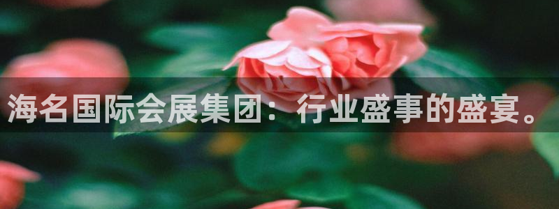 果博平台真实吗安全吗可信吗可靠吗：海名国