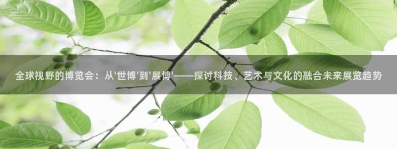 果博注册客服电话是多少号：全球视野的博览会：从\'