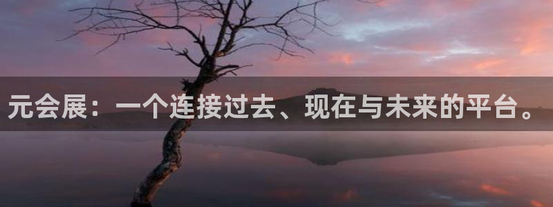 果博平台电话：元会展：一个连接过去、现在与未来的平