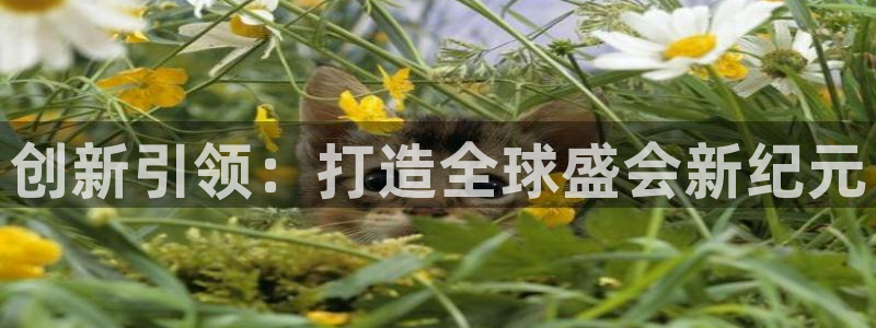 果搏代理：创新引领：打造全球盛会新纪元