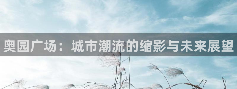 果博公司怎么注册会员：奥园广场：城市潮流