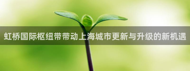 果博官方：虹桥国际枢纽带带动上海城市更新与升级的新机遇