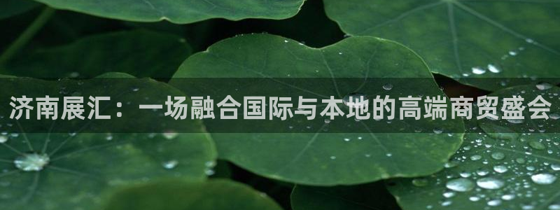 果博公司联系方式：济南展汇：一场融合国际与本地的高端商贸盛会