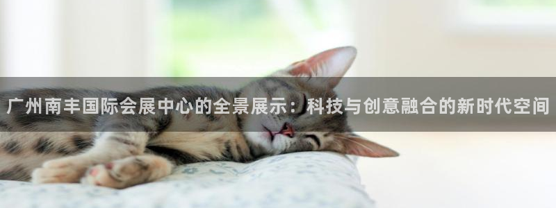 果博公司会员开户：广州南丰国际会展中心的全景展示：科技与创意融合的新时代空间