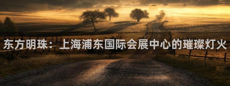 果博手机版下载：东方明珠：上海浦东国际会展中心的璀璨灯火