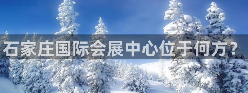 果博公司：石家庄国际会展中心位于何方？