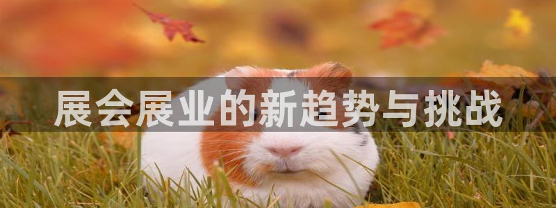 果博客服电话哪里找啊：展会展业的新趋势与